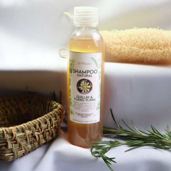 Shampoo Natural - Imagen 2